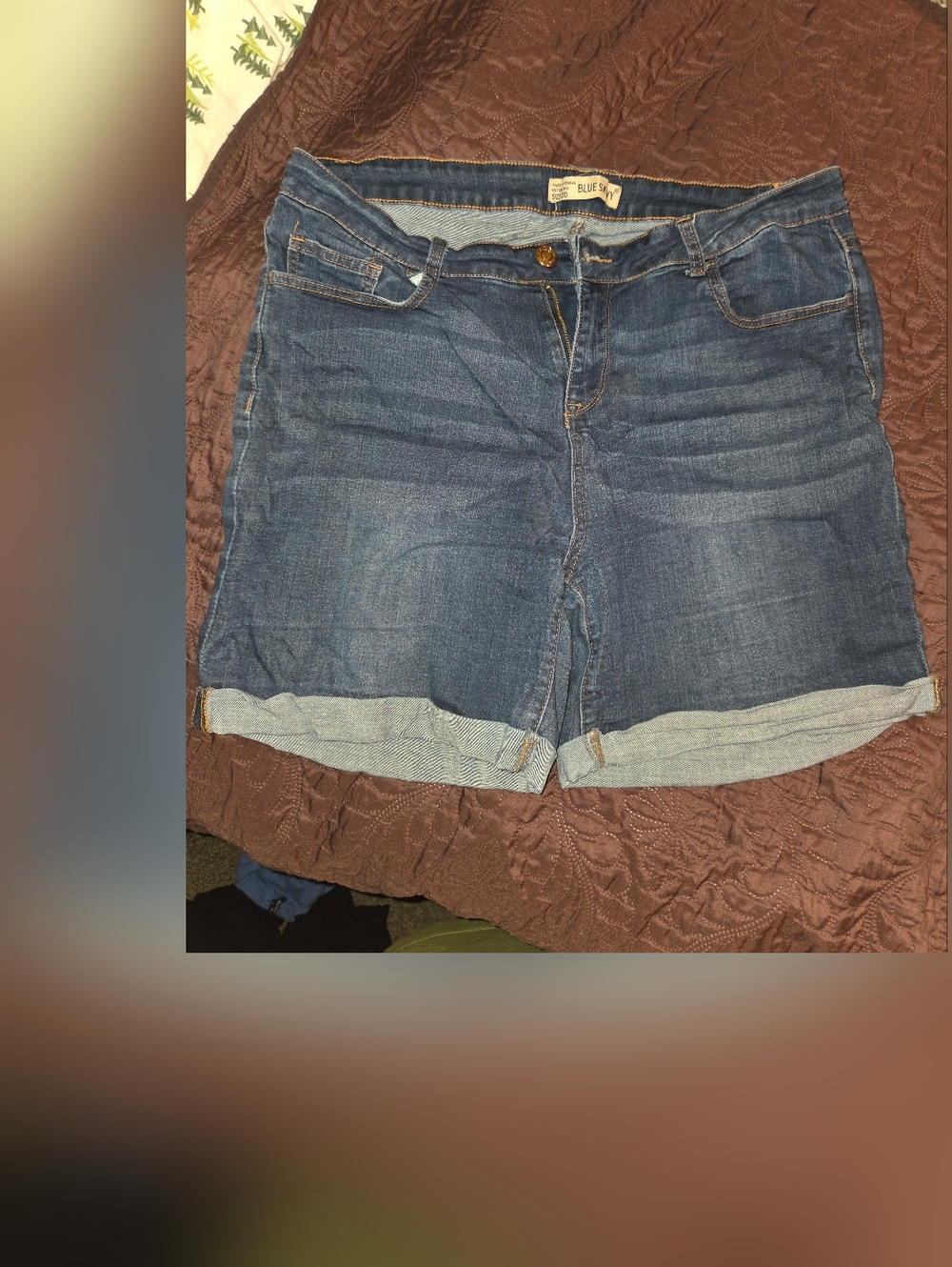 Womens Denim Shorts Plus Sz 20